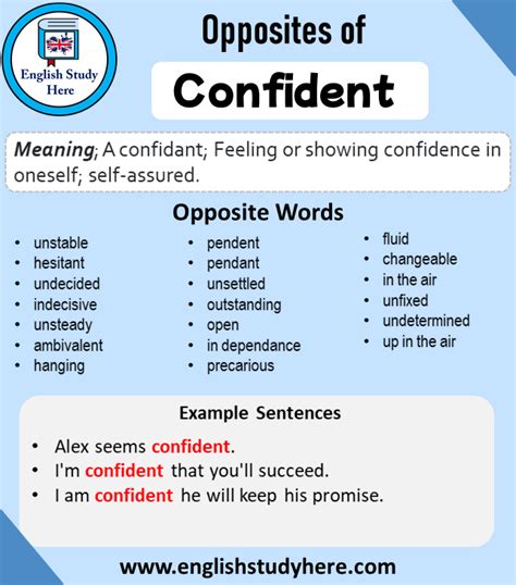 antonyms of confidence|vastly more confident in.